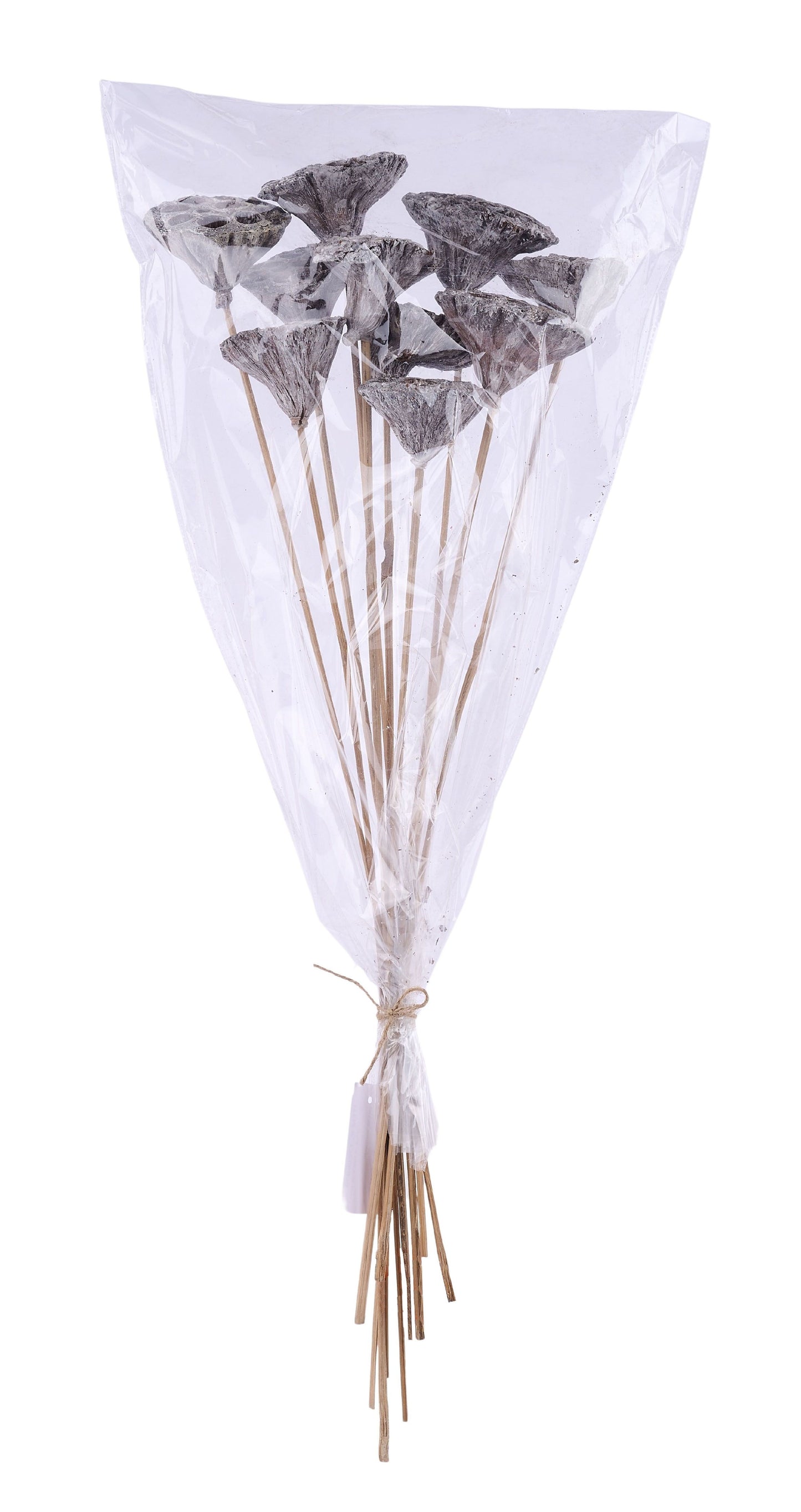 TT309530 | 20"L | Lotus Pod On Twig Stem Bundle x10 | Whitewash