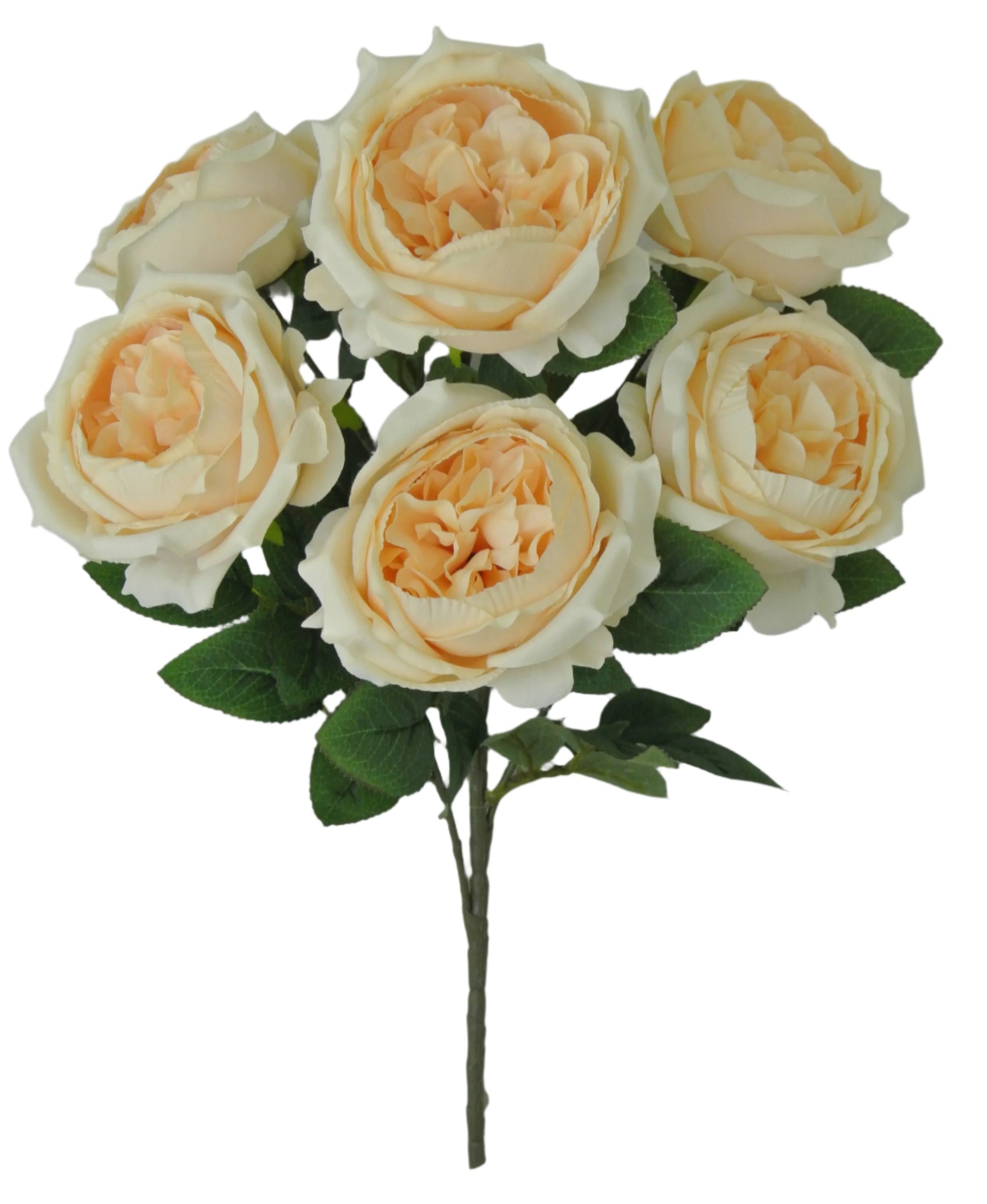 81105-BEIGE English Garden Rose - A&B Wholesale Market Inc