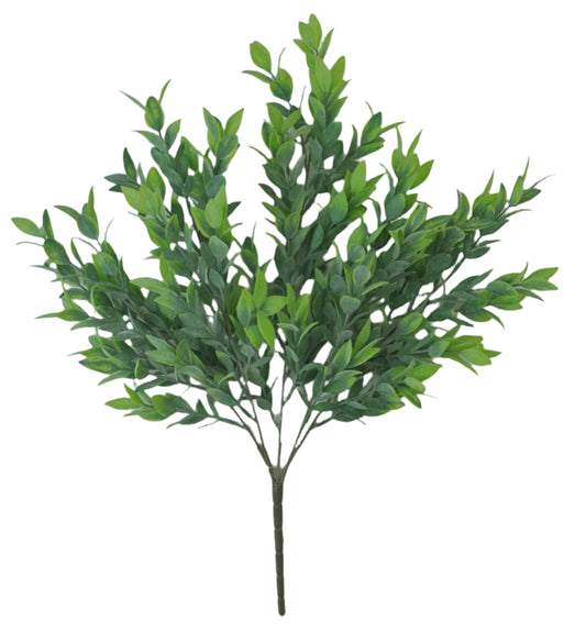81580 21" RUSCUS BUSH X5 - A&B Wholesale Market Inc