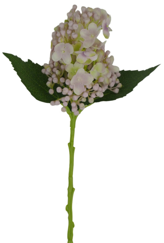 81707-LILAC Budding Hydrangea - A&B Wholesale Market Inc