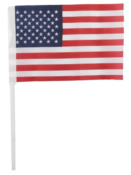 MZ1959 | 4" x 6" | American Flag On 9" Pick | 50Pcs/Bundle