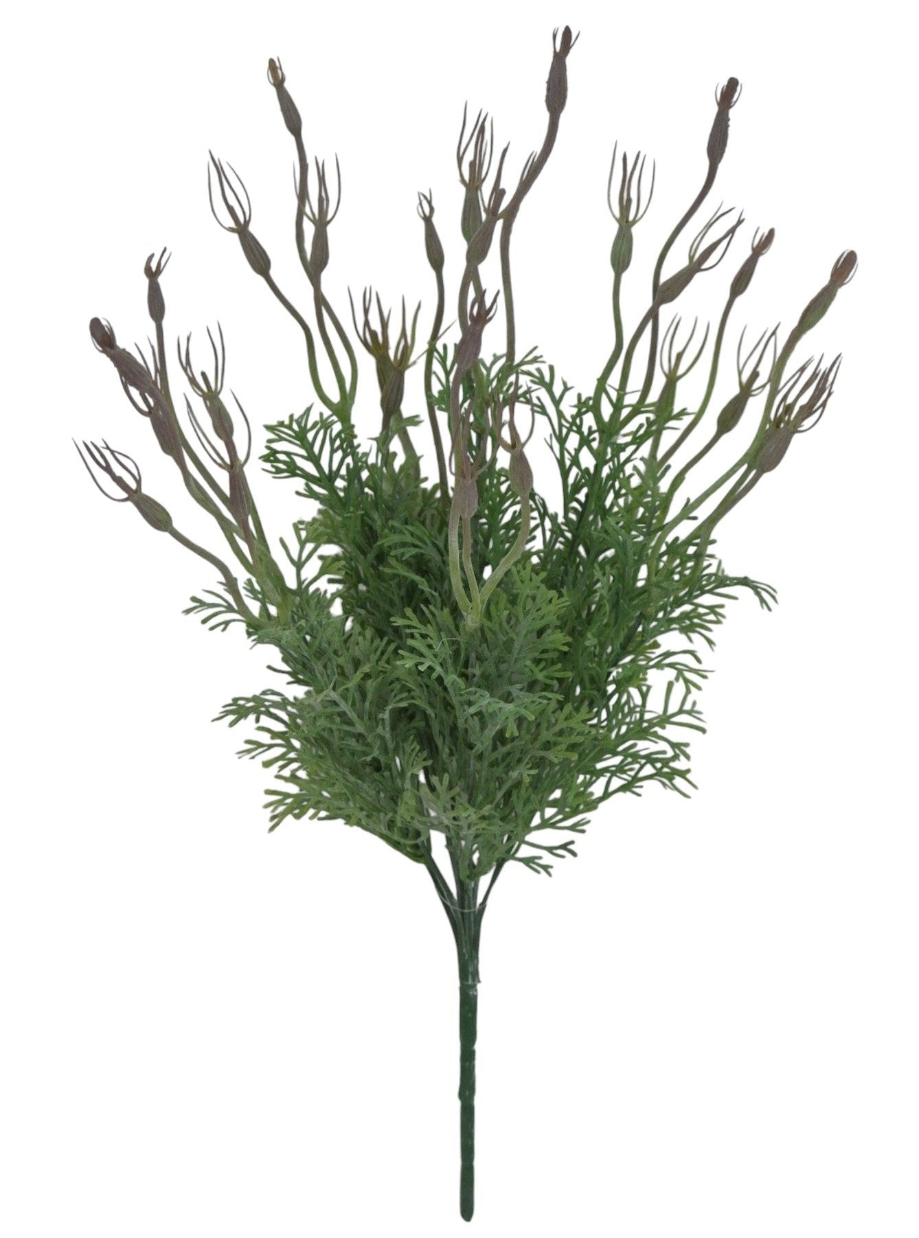 82404 Tillandsia Bush