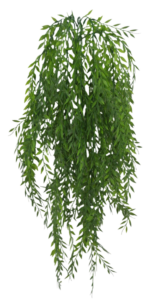 82506 38" Pistacia Hanging Vine X5 - A&B Wholesale Market Inc