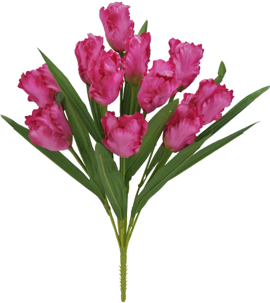 82526-BTY | 21" | TULIP BUSH X12 |  BEAUTY