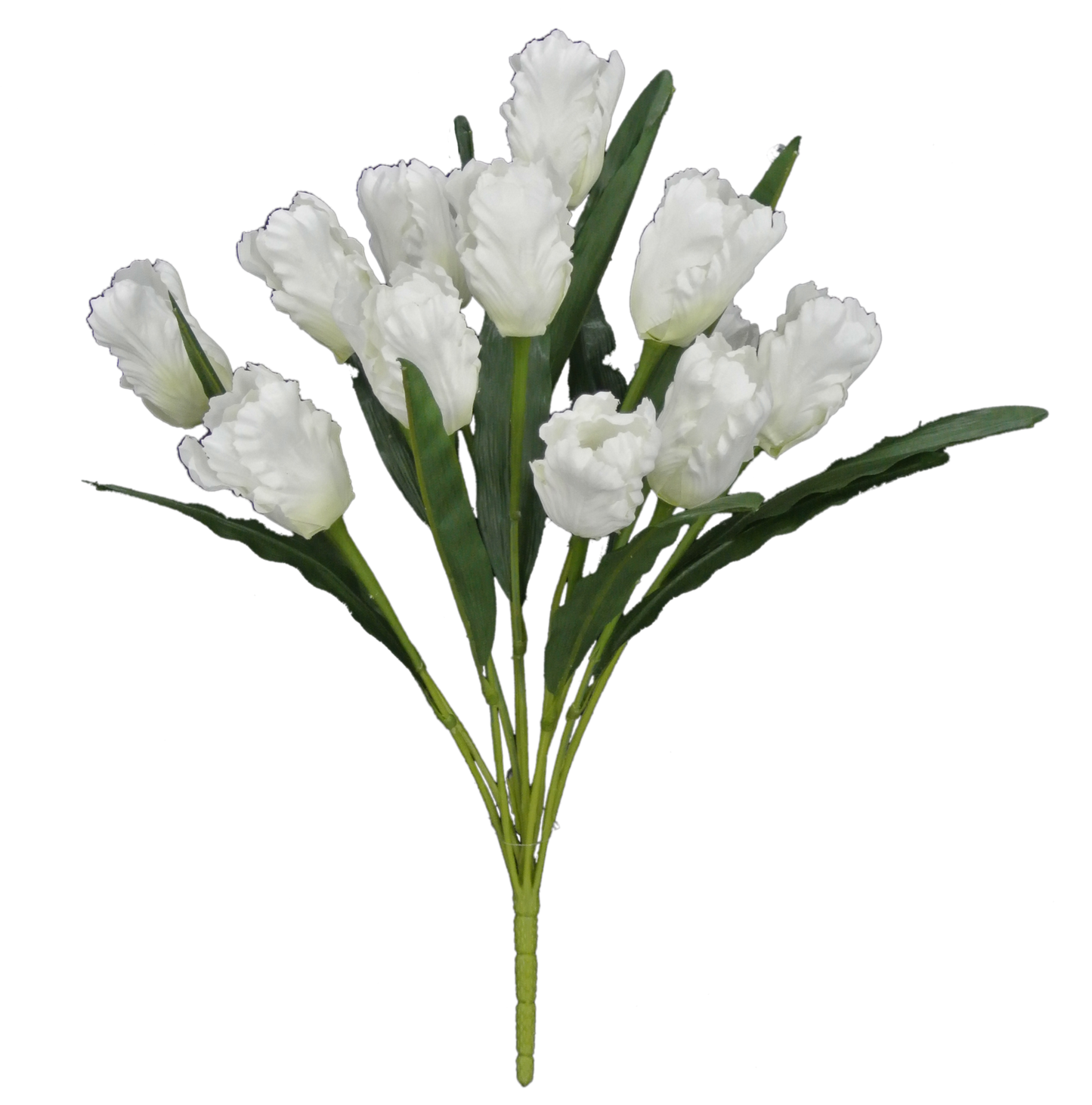 82526-CR | 21" | TULIP BUSH X12 |  CREAM