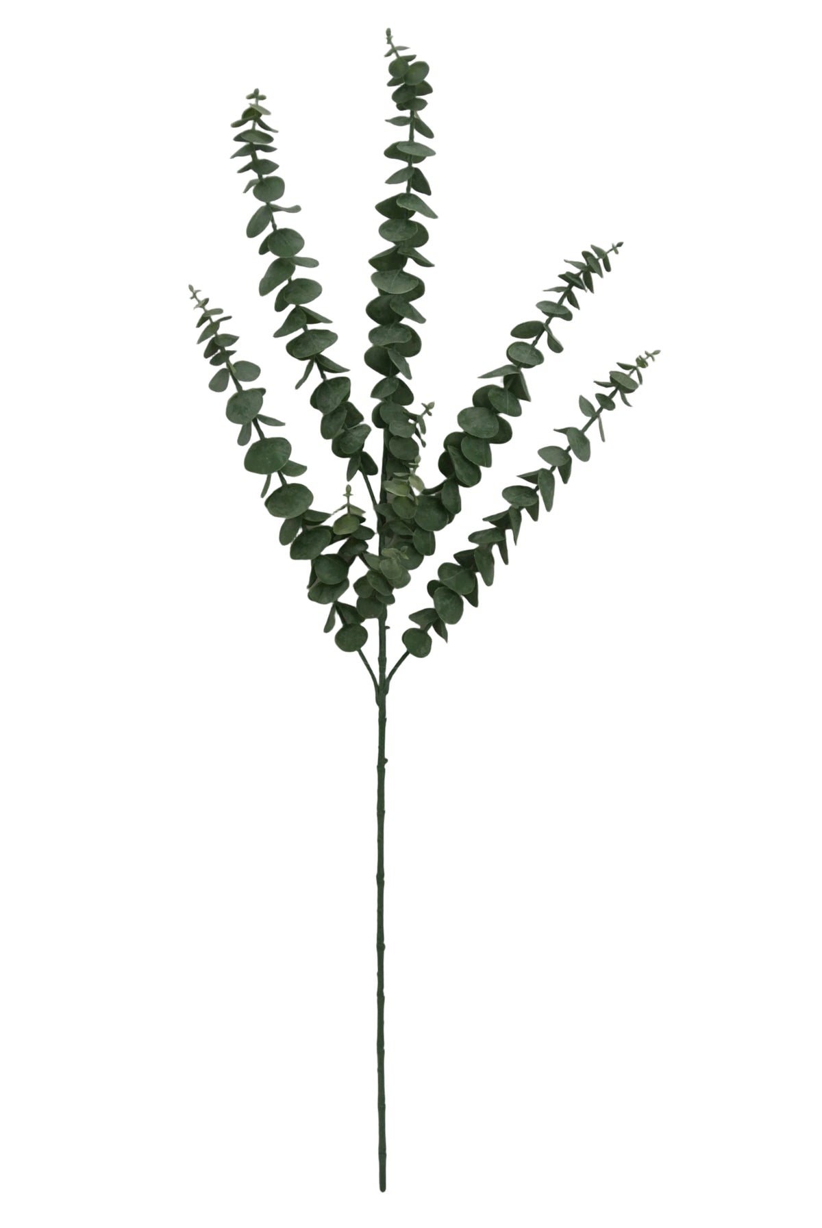 82540 | 34" | EUCALYPTUS SPRAY X5