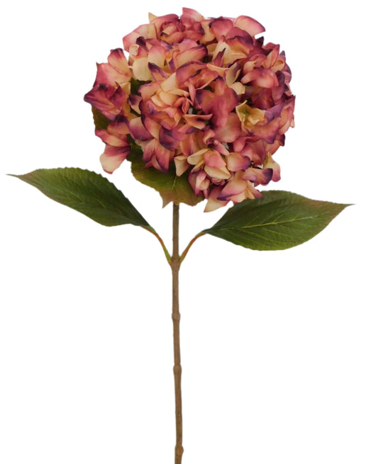 82962-BTY 27" Single Dry Hydrangea - A&B Wholesale Market Inc