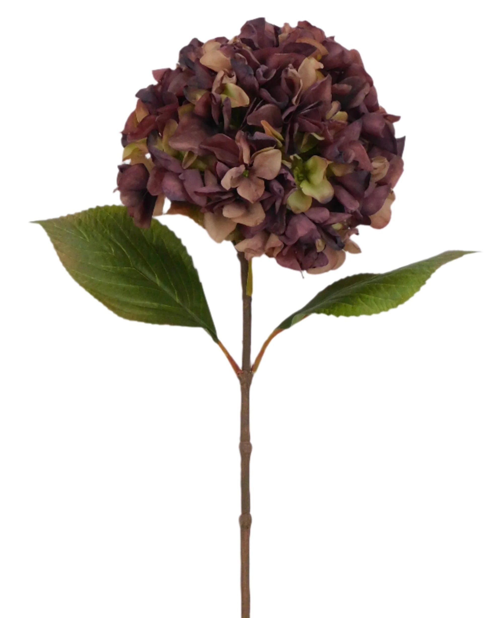 82962-PUGN 27" Single Dry Hydrangea - A&B Wholesale Market Inc