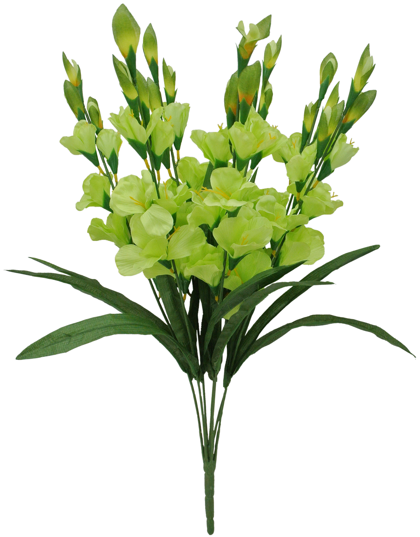 83343-GN 27" GLADIOLUS BUSH X7 - A&B Wholesale Market Inc