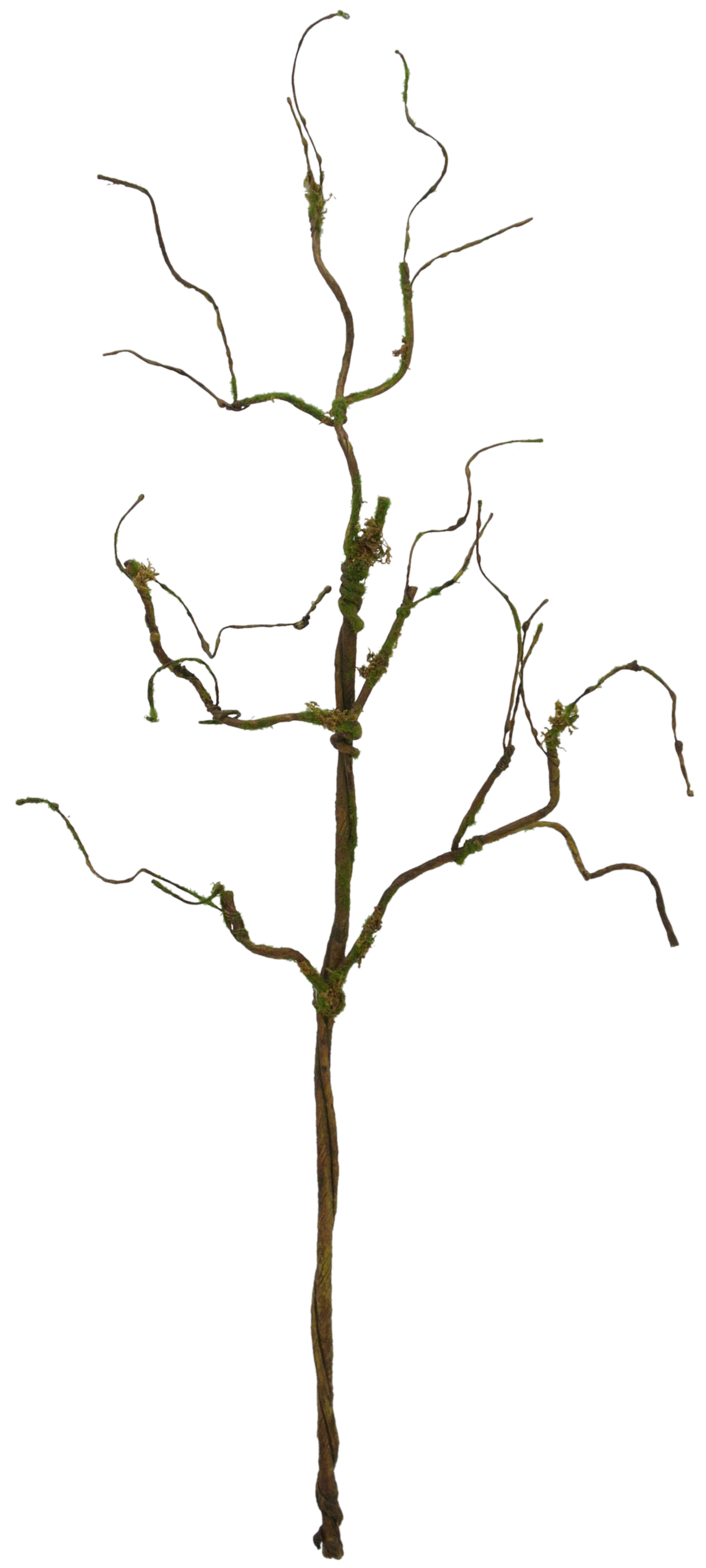 83982 31" TWIG BRANCH W/MOSS - A&B Wholesale Market Inc