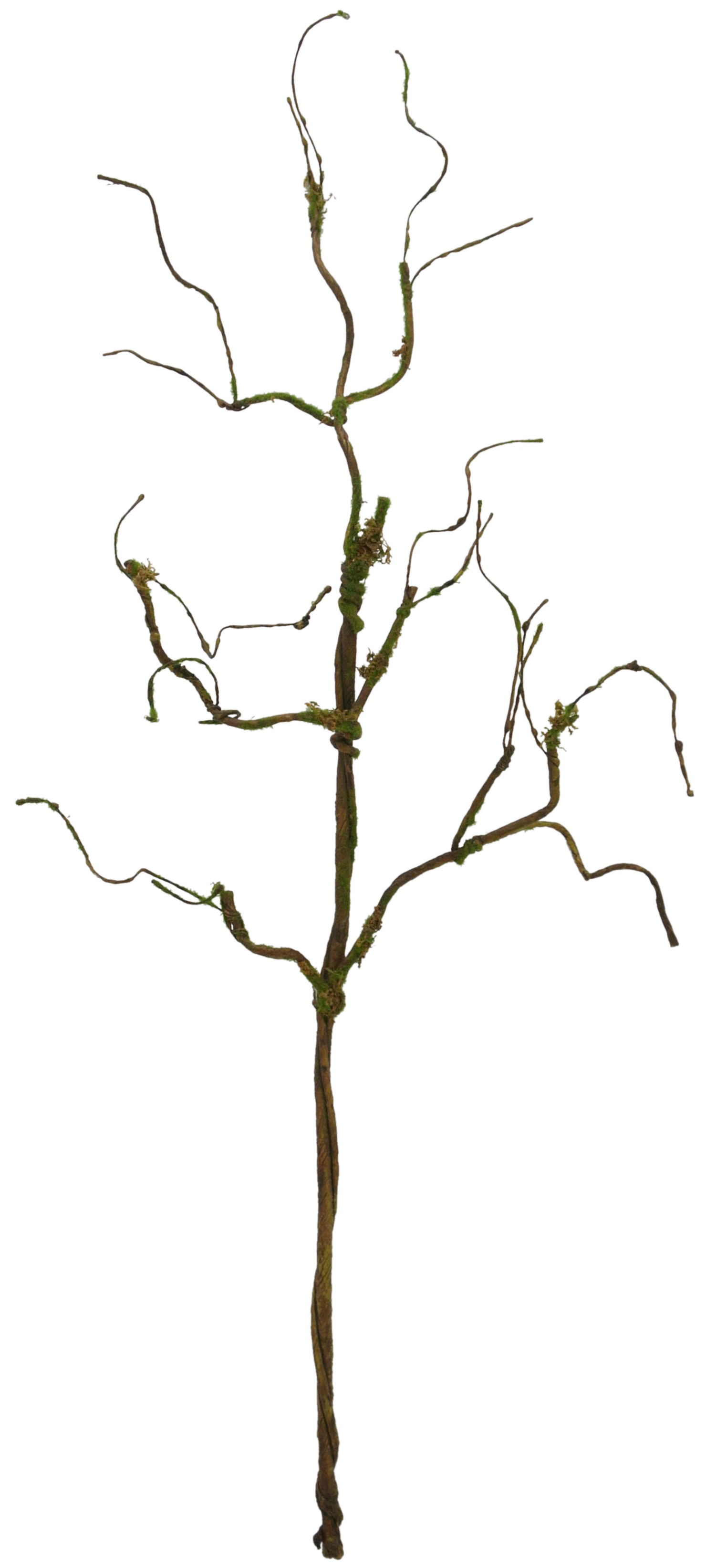 83982 31" TWIG BRANCH W/MOSS - A&B Wholesale Market Inc