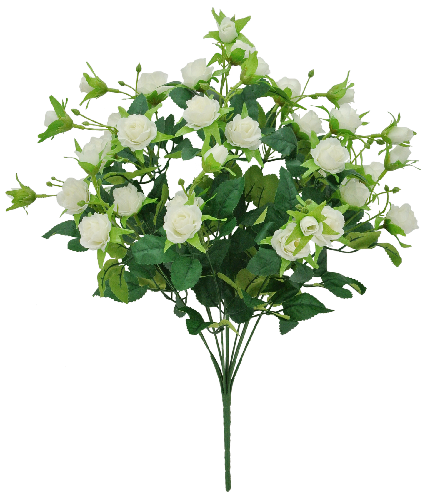 83999-CR 20" MINI ROSE BUSH X12