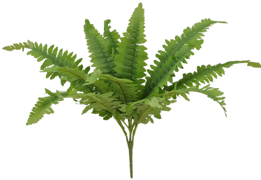 84083 17" Boston Fern Leave Bush x12 - A&B Wholesale Market Inc