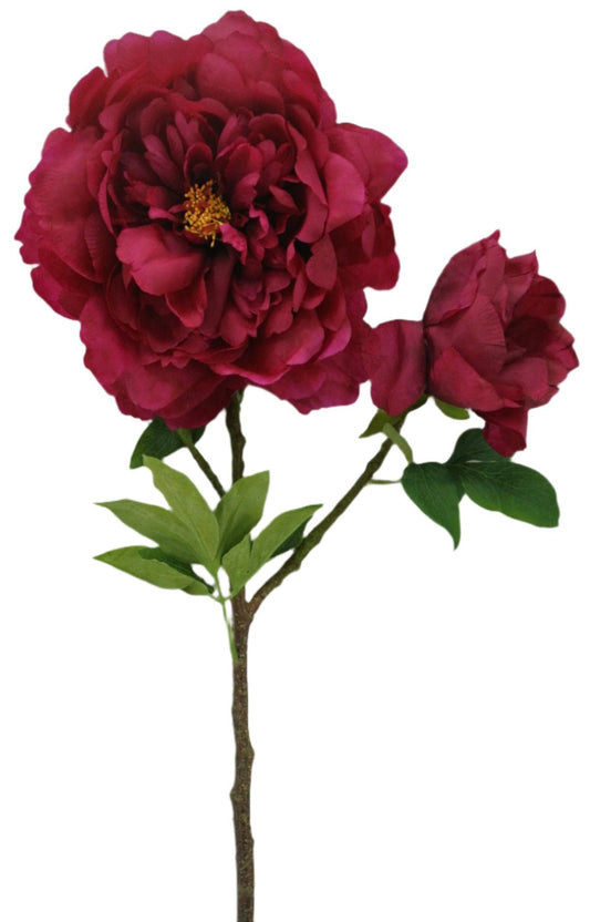 84250-BG 30" Peony Spray - A&B Wholesale Market Inc