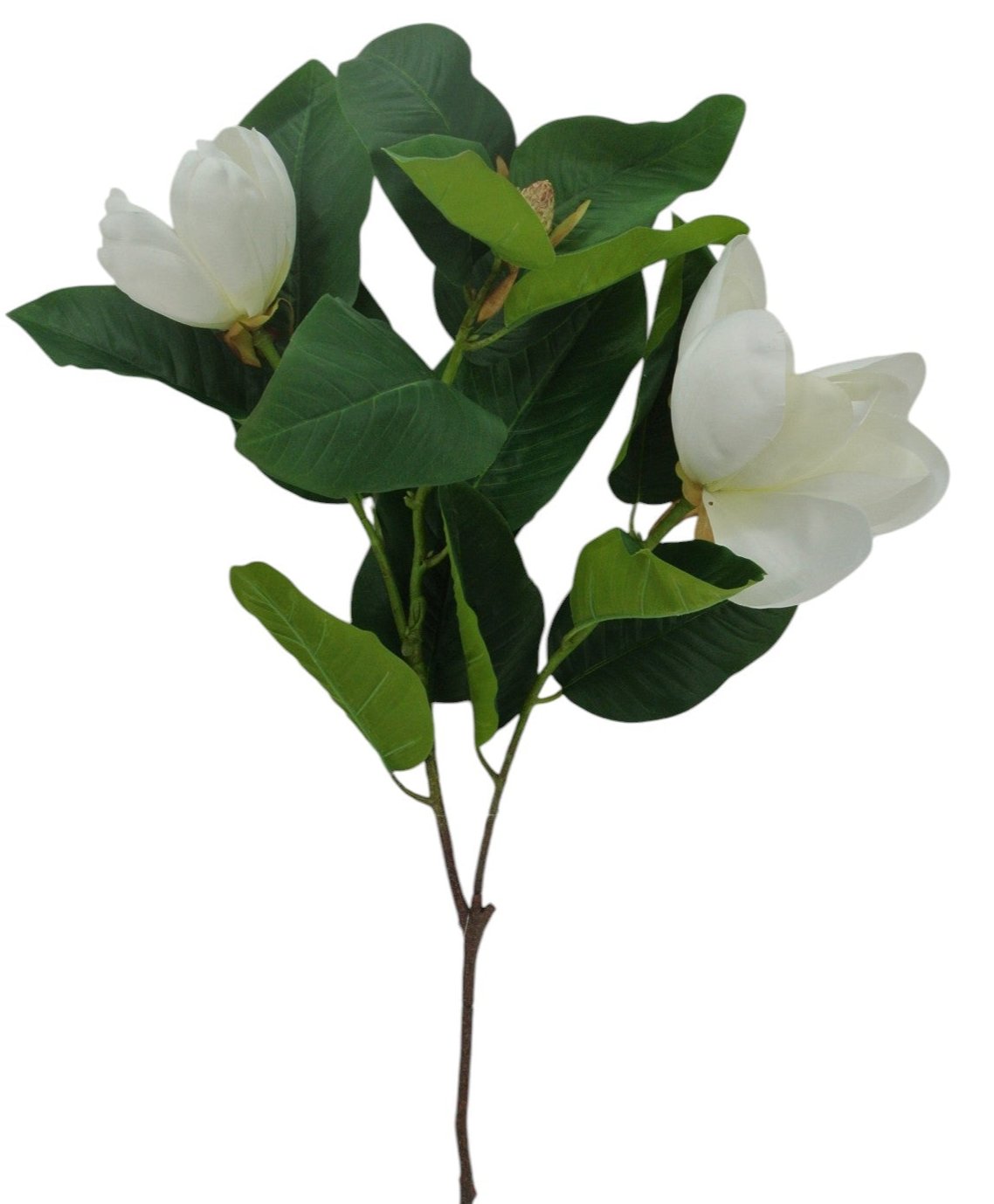 84251 42" Magnolia  Spray