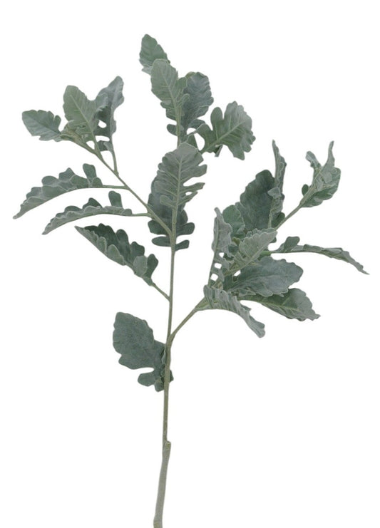 84255 39" Dusty Miller Spray