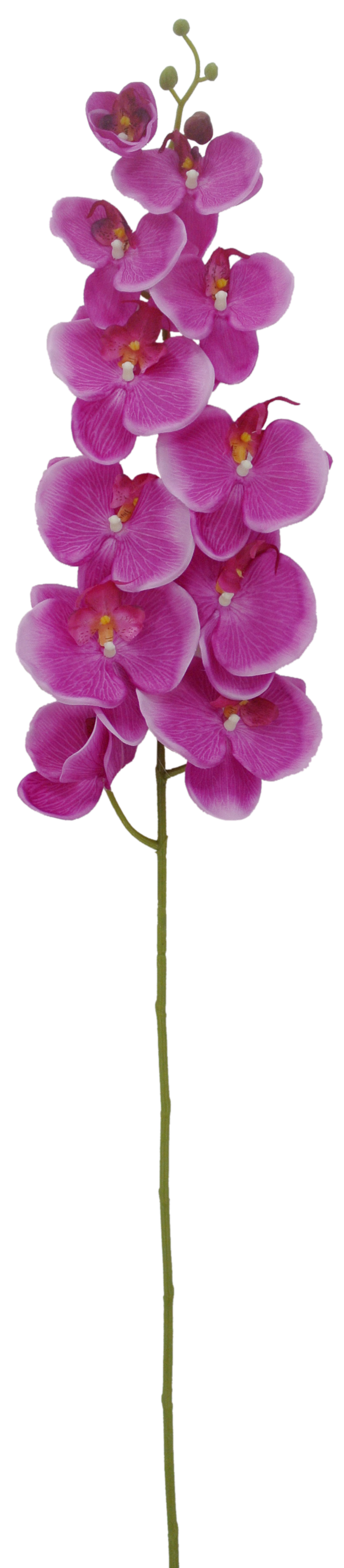 84290-EGGPLANT |  48" | ORCHID SPRAY X11 |  EGGPLANT