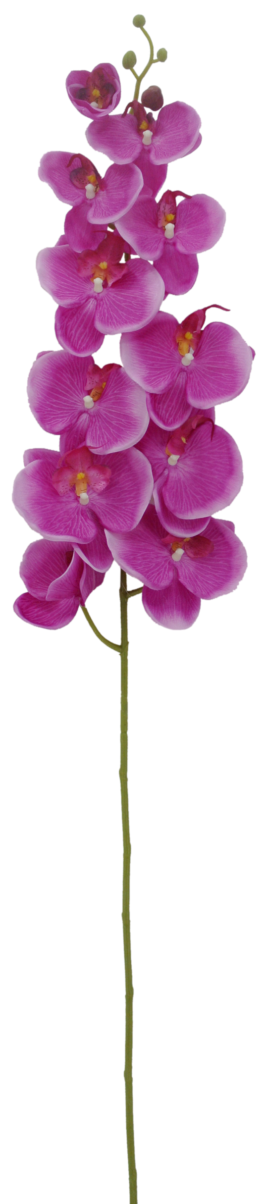 84290-EGGPLANT |  48" | ORCHID SPRAY X11 |  EGGPLANT