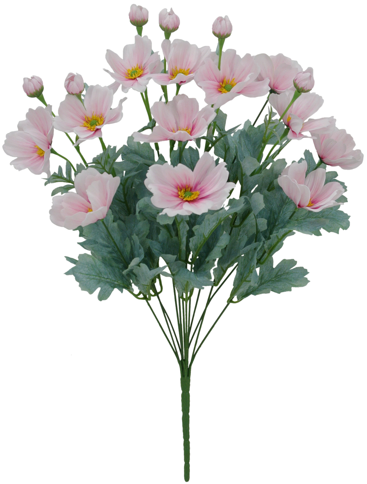 84299-PK 22" Cosmos Bush x12 Heads - A&B Wholesale Market Inc
