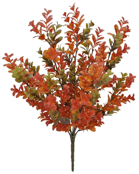 84343 | 17.5" | BOXWOOD BUSH X9