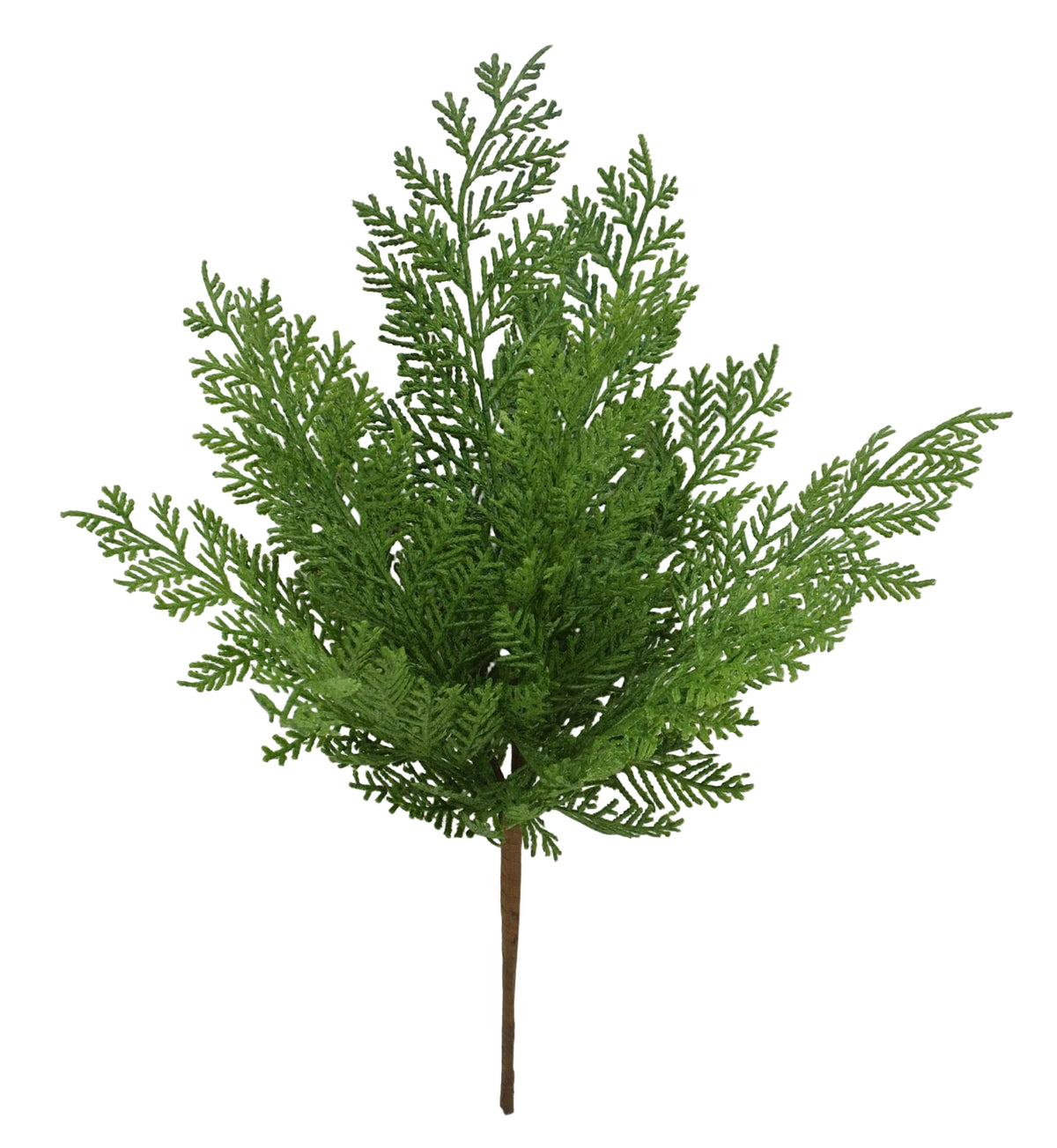 84381 | 18.5" | CYPRESS BUSH