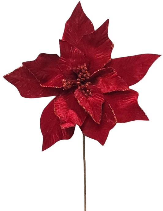 84535 | POINSETTIA X1 | RED