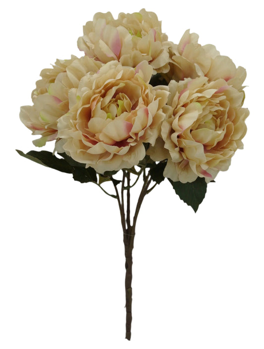 84615-BEIGE  19" SATIN PEONY BUSH X5