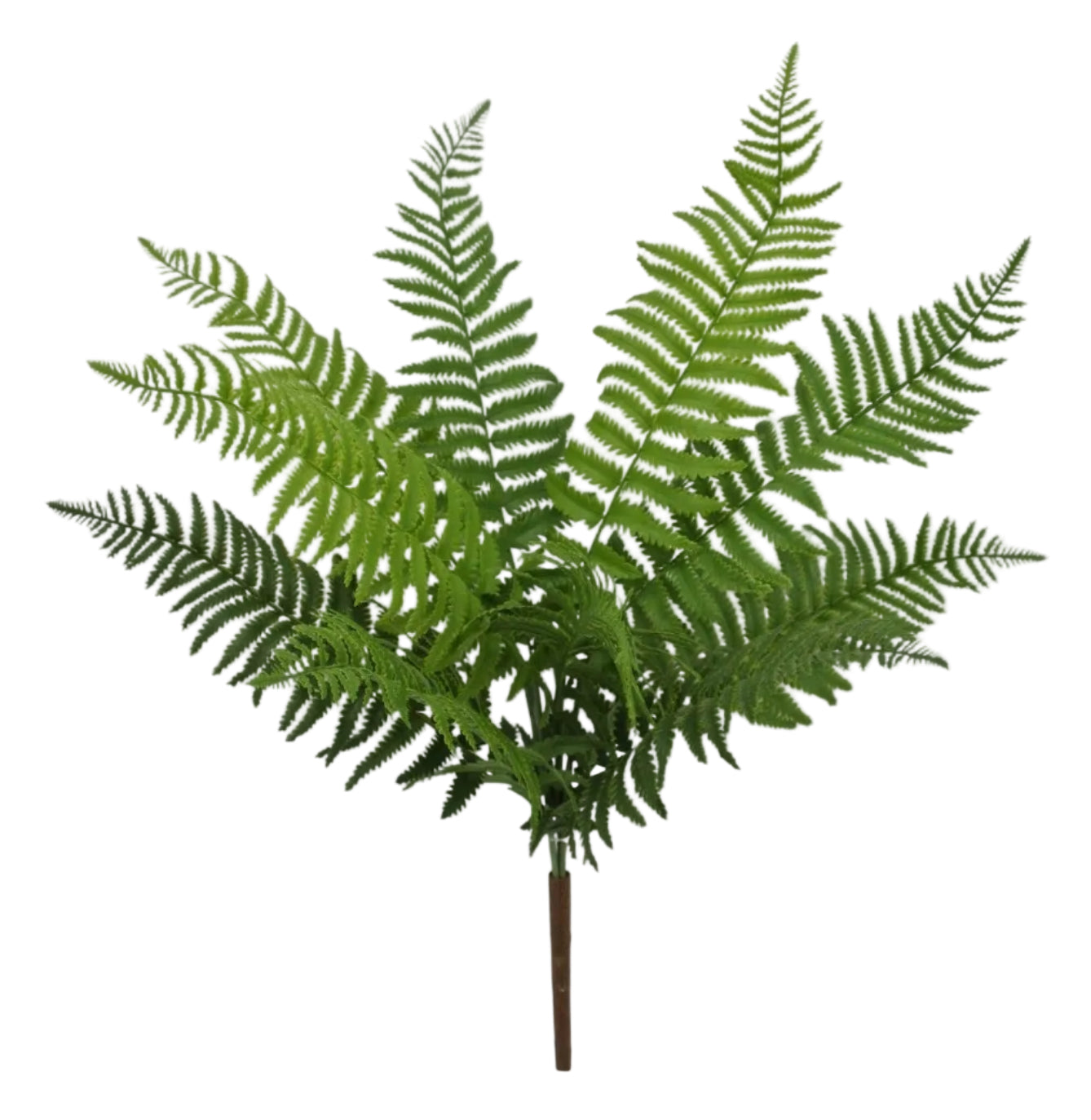 84824-UV | 26" | REAL TOUCH RUFFLE FERN - A&B Wholesale Market Inc