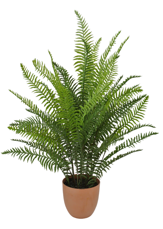 84826-UV | 33" | REAL TOUCH RUFFLE FERN PLANT | GREEN