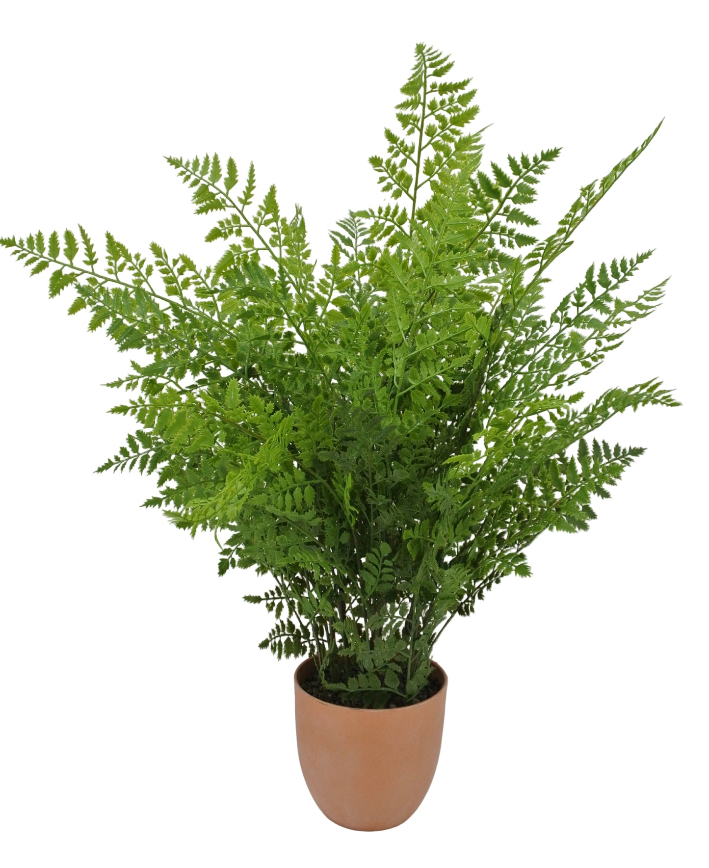 84827-UV | 30" | REAL TOUCH PLASTIC FERN