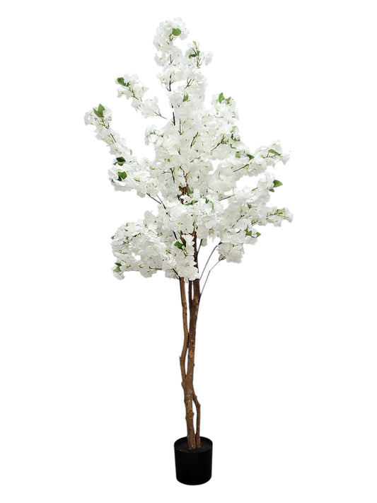 84992-CR | 6FT | CHERRY BLOSSOM TREE | CREAM