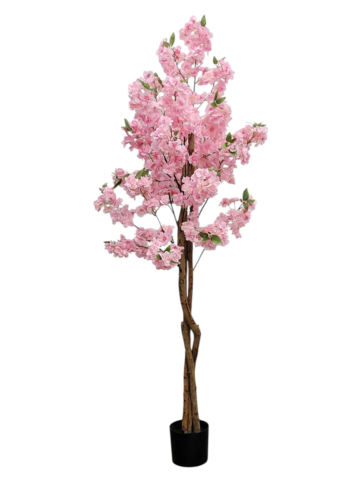 84992-PK | 6FT | CHERRY BLOSSOM TREE | PINK