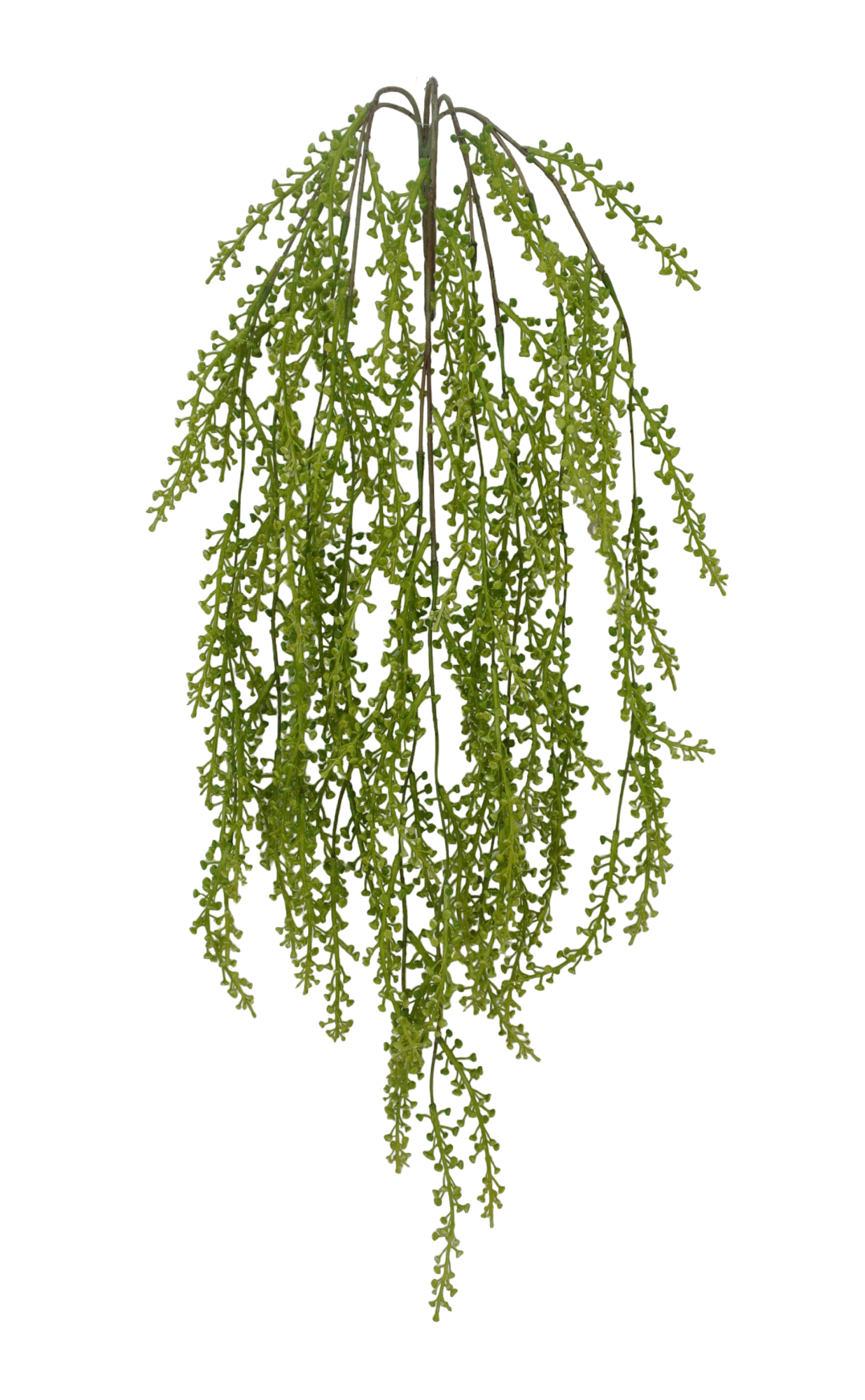 85002-GN | 36" | SEED HANGING X5 | Green