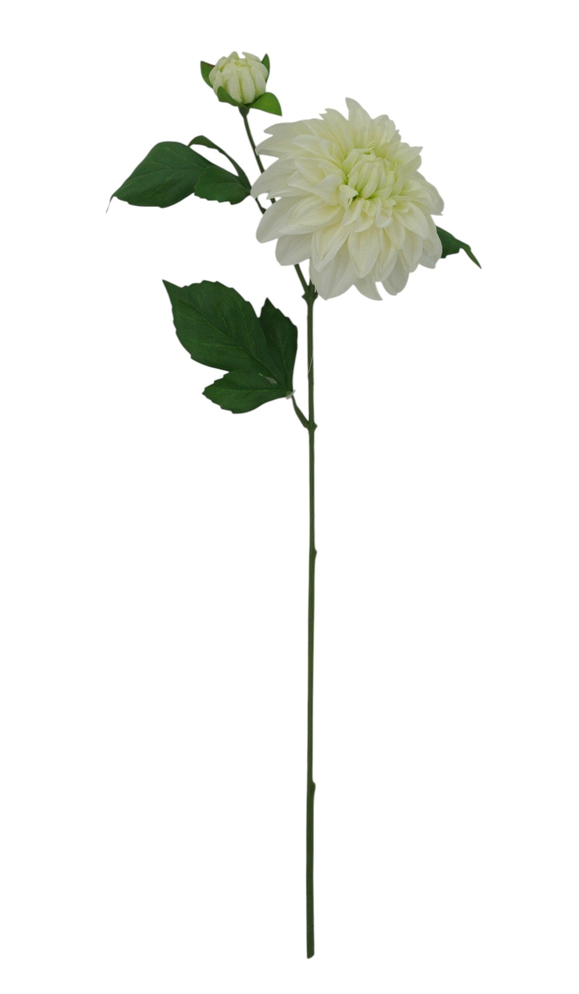 85055-CR | 24" | DAHLIA SPRAY X2 | CREAM