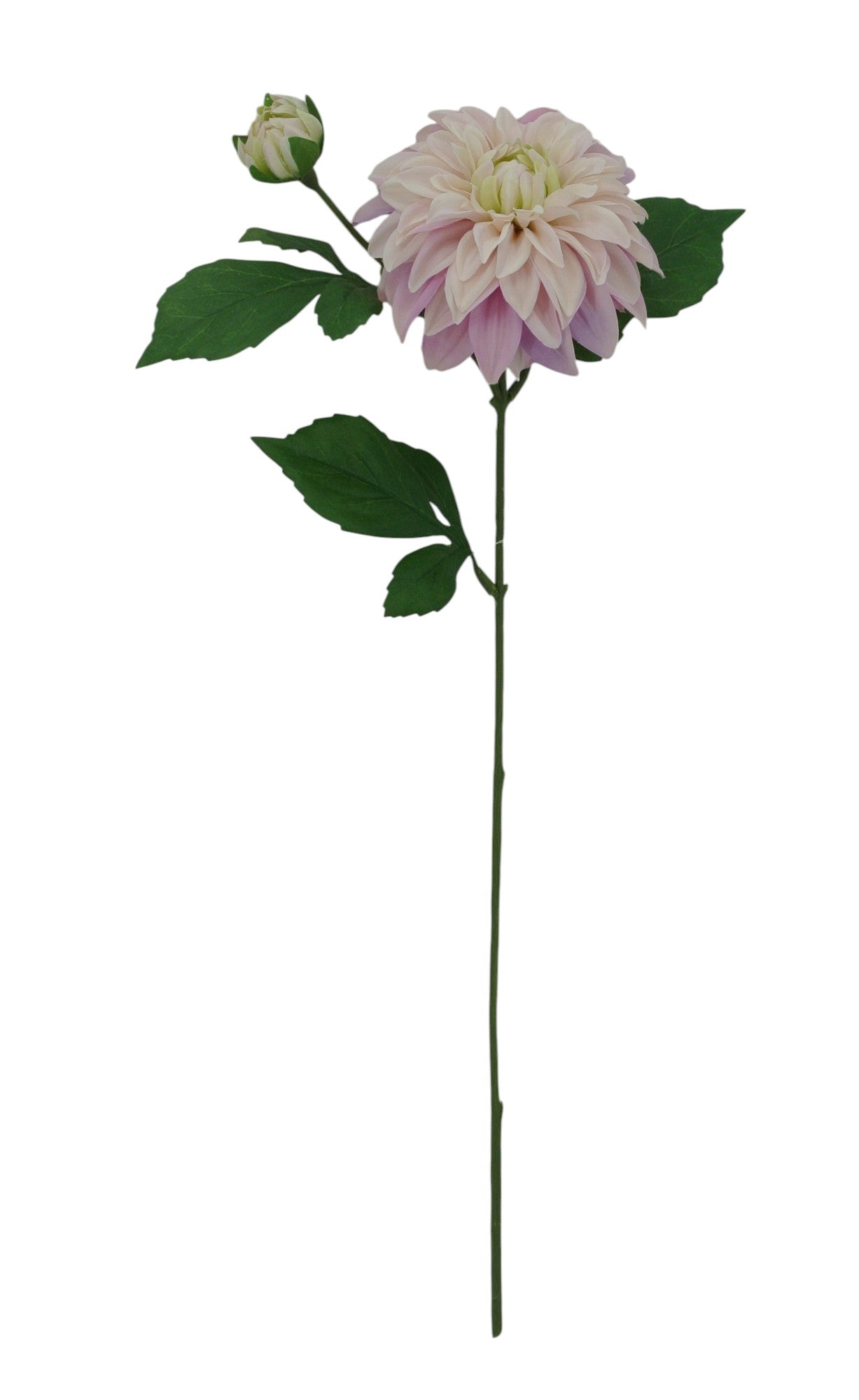 85055-MV | 24" | DAHLIA SPRAY X2 | MAUVE