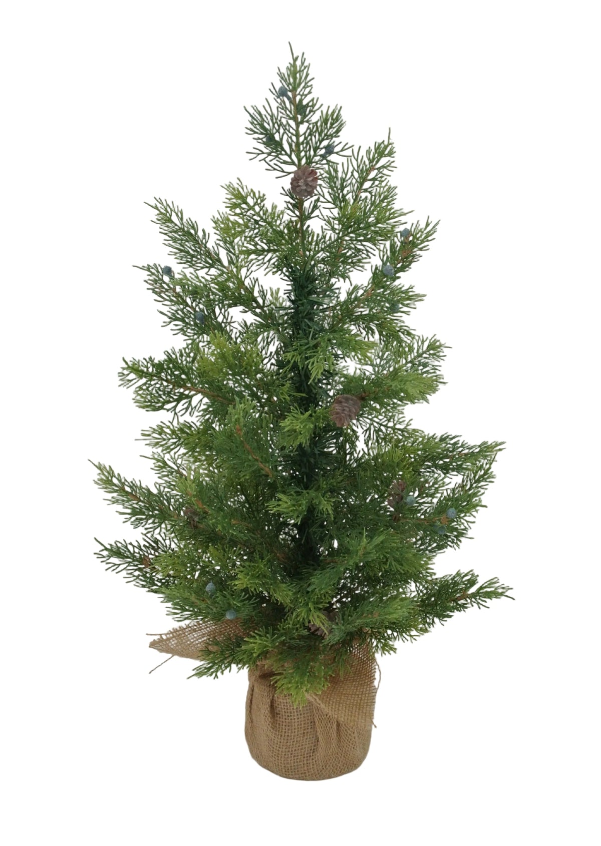 85200 | 2FT | CEDAR TREE