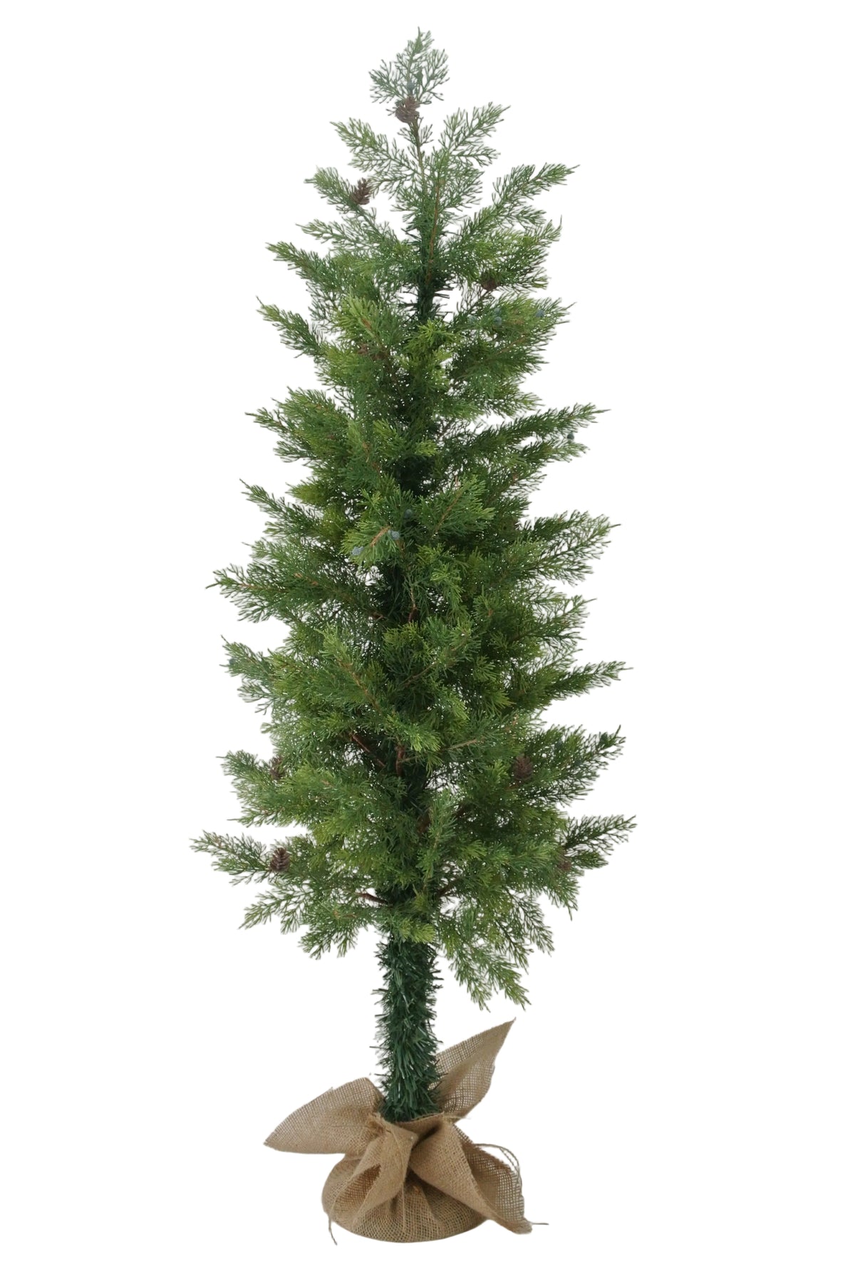 85202 | 4FT | CEDAR TREE