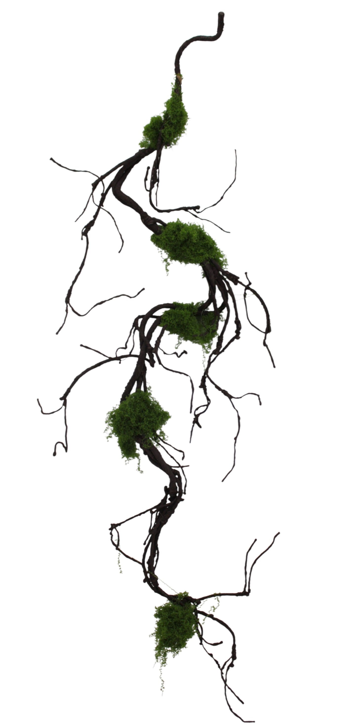 85447 | 5FT | BRANCH W/MOSS - A&B Wholesale Market Inc