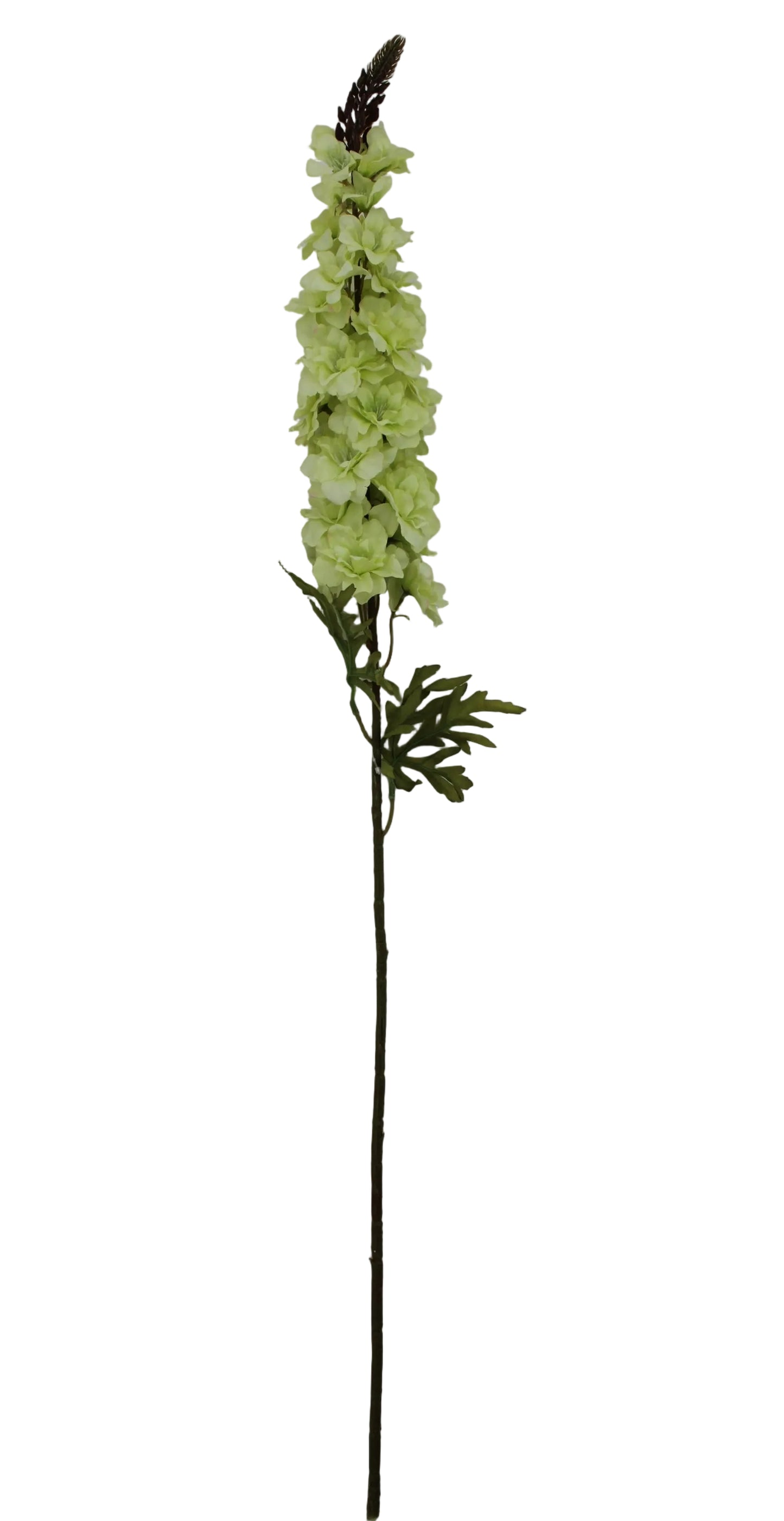 85468-GN | 41.5" | SINGLE DELPHINIUM | GREEN