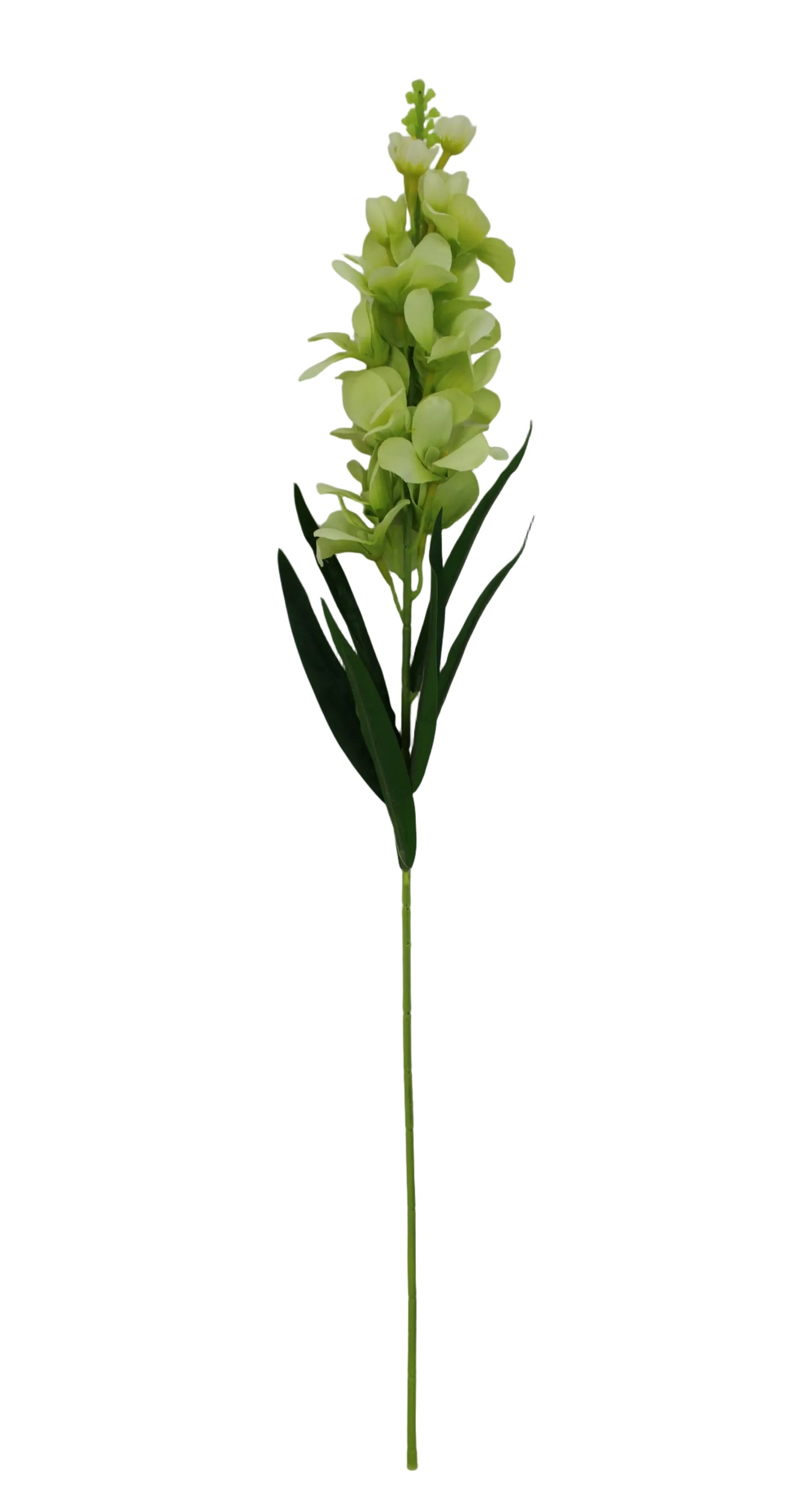 85471-GN | 35.5" | SINGLE DELPHINIUM | GREEN