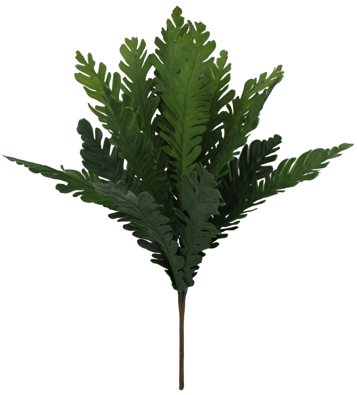85542-UV | 21" | SOFT TOUCH NEST FERN