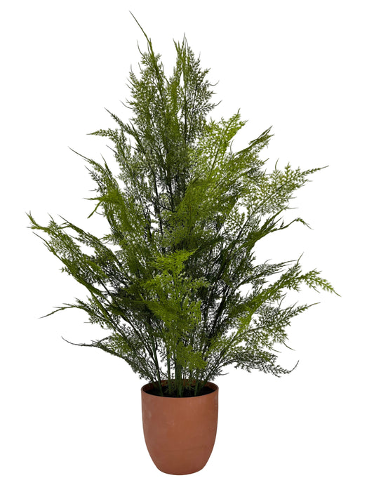 85550-UV | 38" | SOFT TOUCH ASPARAGUS