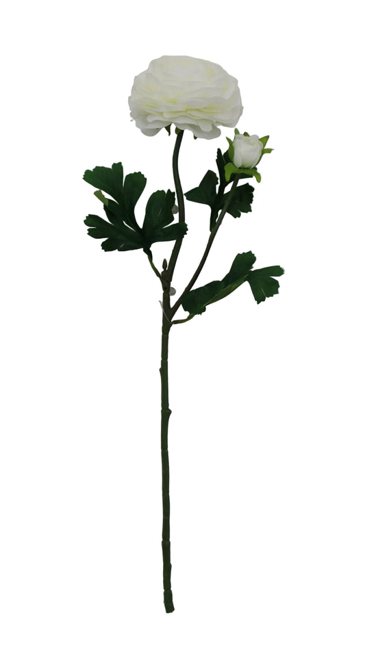 85570-CR | 23.5" | RANUNCULUS SPRAY X2 | CREAM