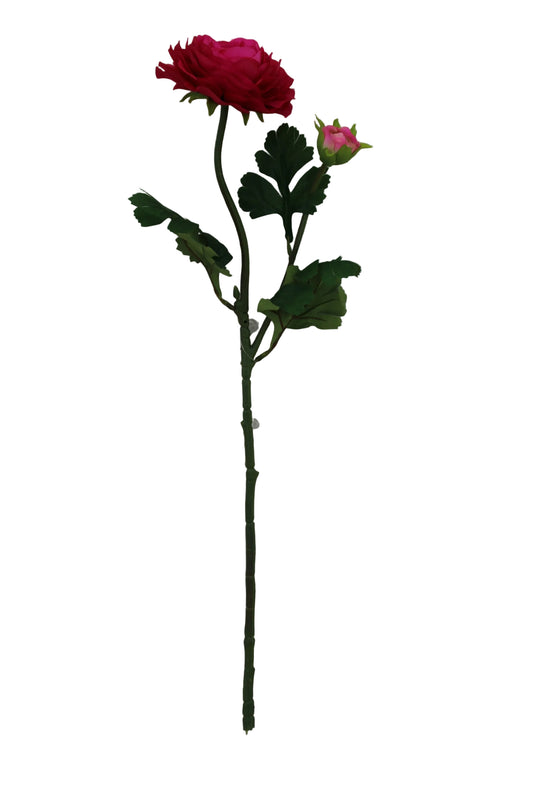 85570-FU | 23.5" | RANUNCULUS SPRAY X2 | FUCHSIA - A&B Wholesale Market Inc