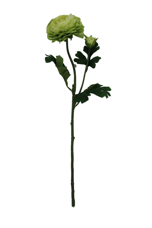 85570-GN | 23.5" | RANUNCULUS SPRAY X2 | GREEN - A&B Wholesale Market Inc