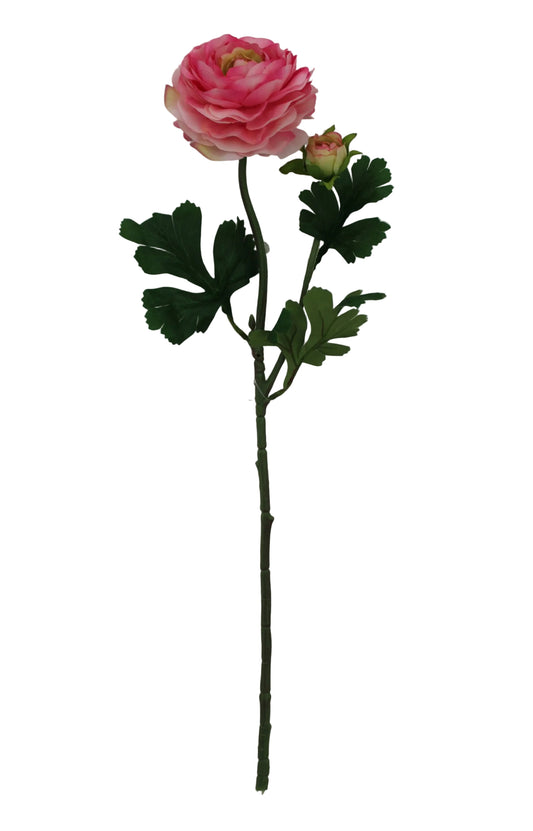 85570-PK | 23.5" | RANUNCULUS SPRAY X2 | PINK