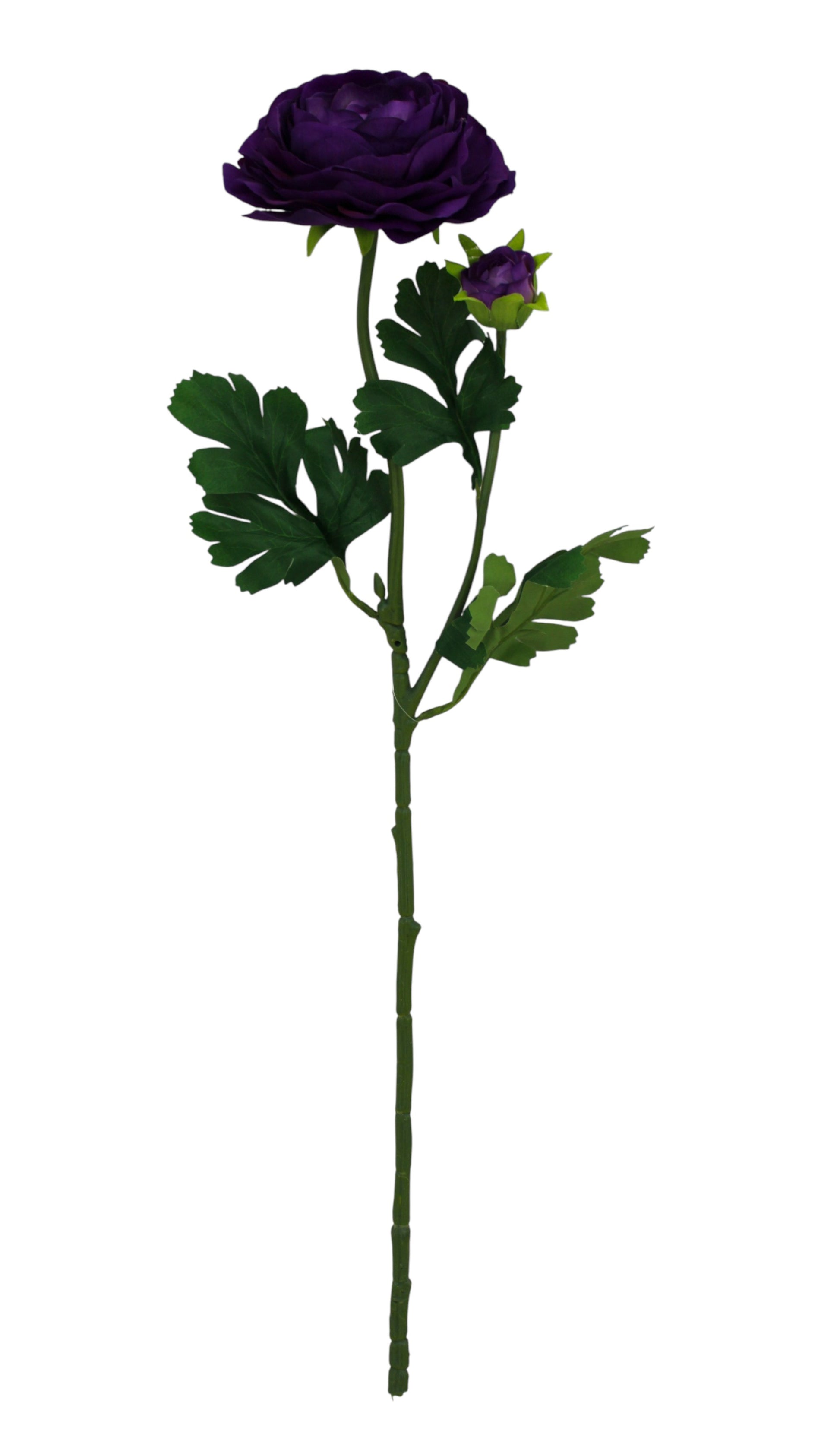 85570-PU | 23.5" | RANUNCULUS SPRAY X2 | PURPLE - A&B Wholesale Market Inc