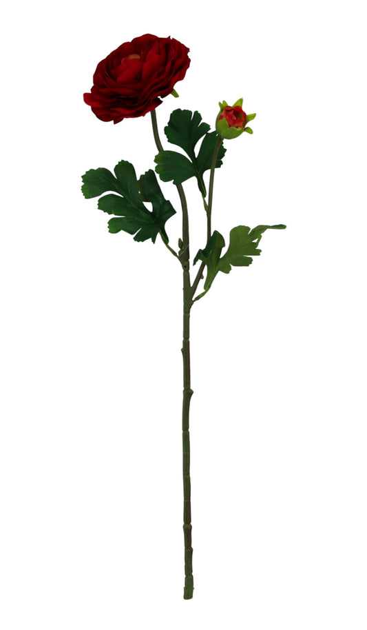 85570-RD | 23.5" | RANUNCULUS SPRAY X2 | RED - A&B Wholesale Market Inc