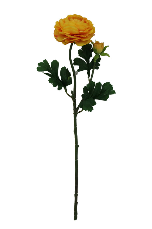 85570-YEL | 23.5" | RANUNCULUS SPRAY X2 | YELLOW