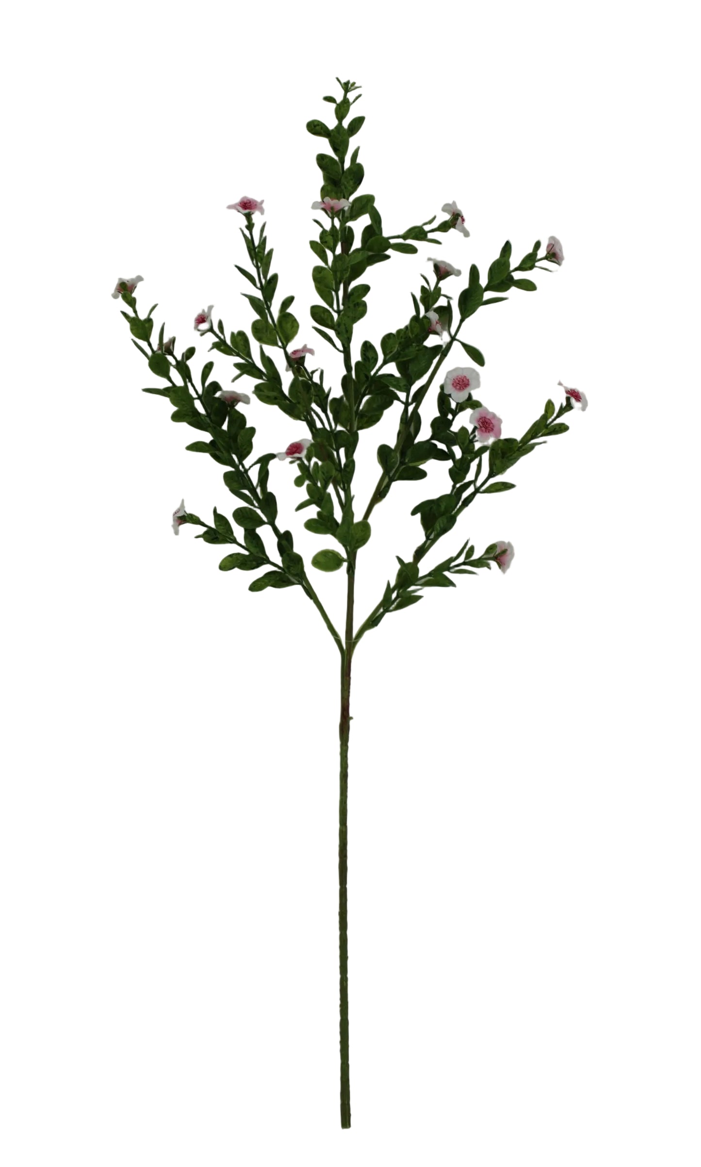 85599-PK | 27" | FILLER SPRAY X5 | PINK